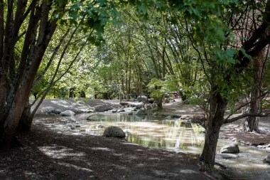 Parc Floral de Bordeaux (15).